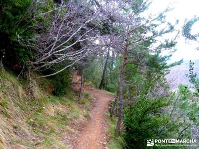 Viaje Semana Santa - Mallos Riglos - Jaca; excursiones de montaña; actividades de senderismo;sender